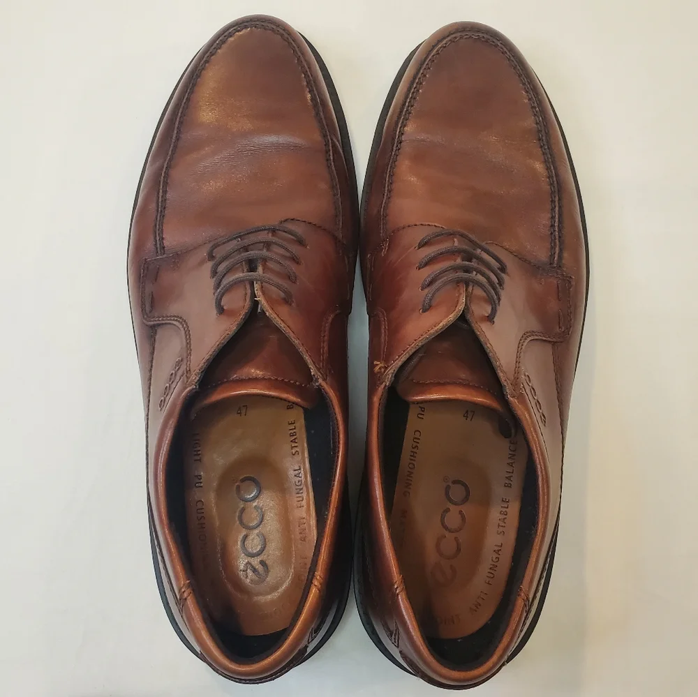 Ecco men brown